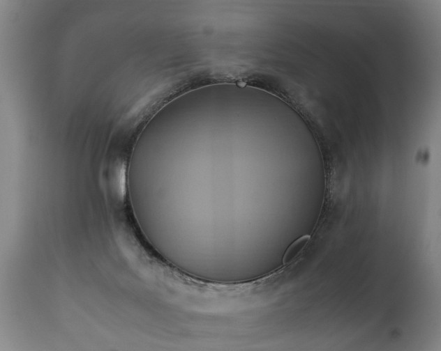 X0000110930027200906251344