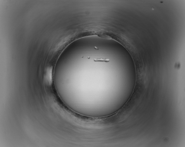 X0000110930028200906251344