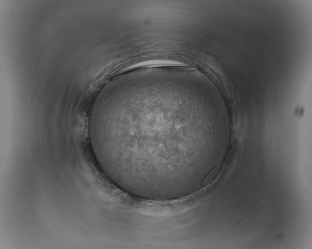 X0000110930029200906251344