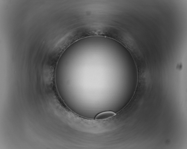 X0000110930030200906251344