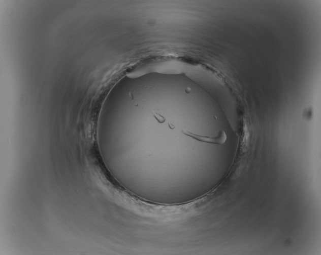 X0000110930031200906251344