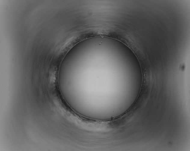 X0000110930032200906251344