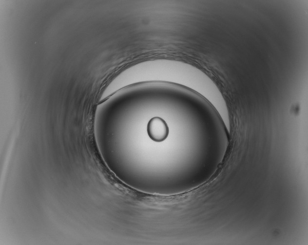 X0000110930033200906251344
