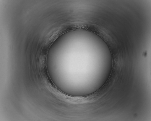 X0000110930034200906251344