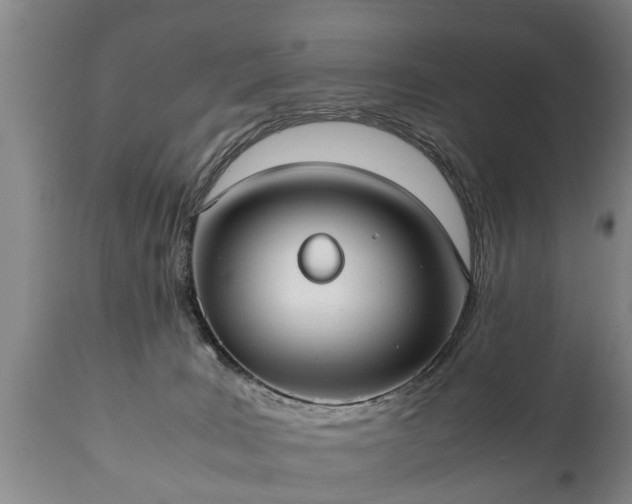 X0000110930035200906251344