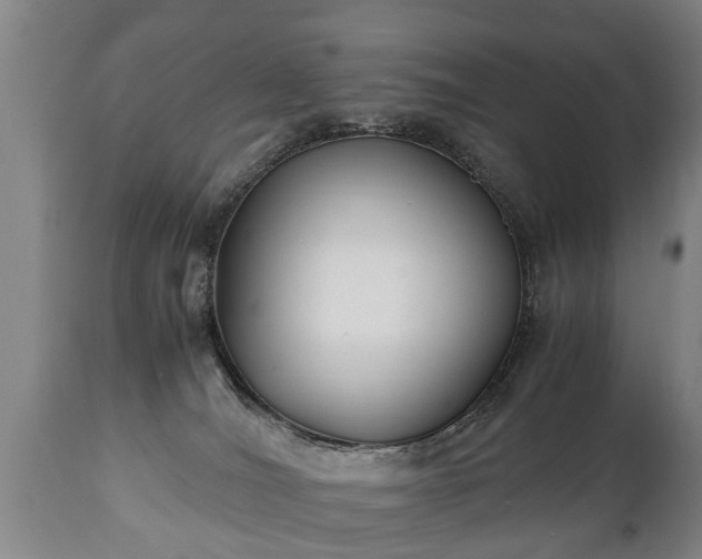 X0000110930036200906251344