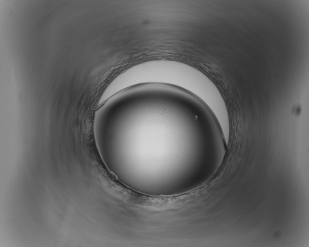 X0000110930037200906251344