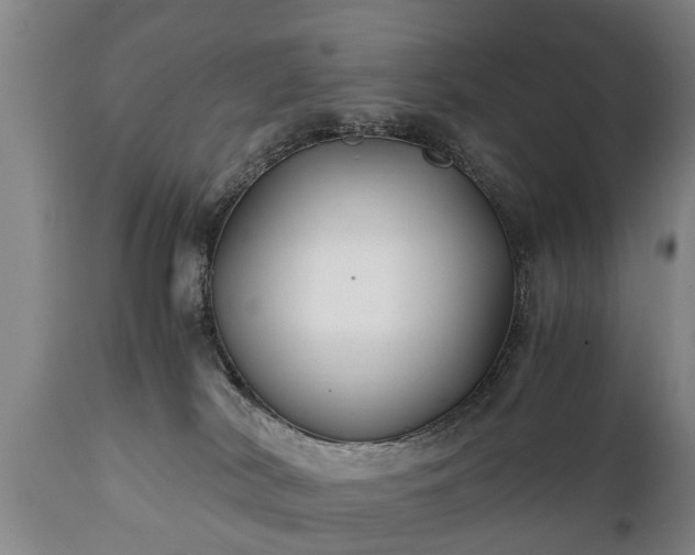 X0000110930038200906251344