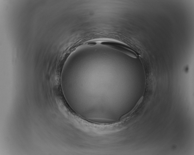 X0000110930039200906251344