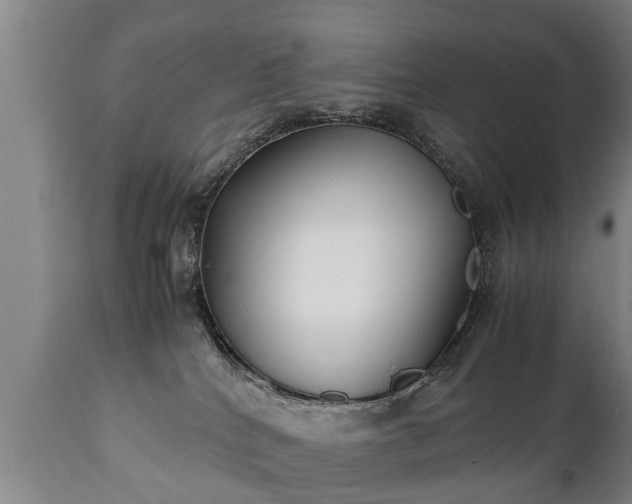 X0000110930040200906251344