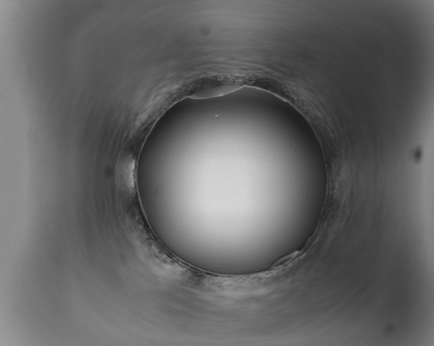 X0000110930041200906251344