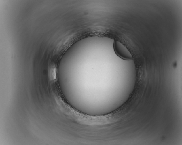 X0000110930042200906251344