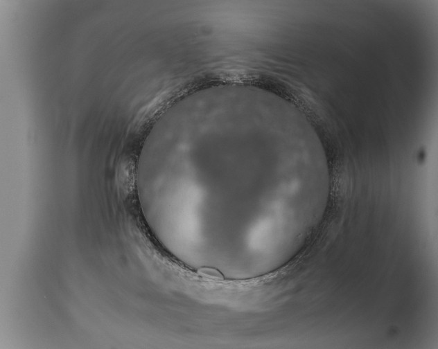 X0000110930043200906251344