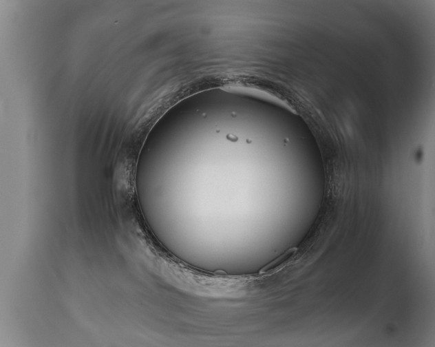 X0000110930044200906251344