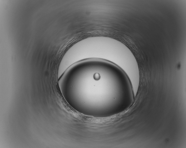 X0000110930045200906251344