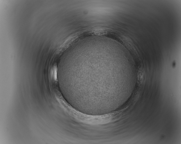 X0000110930046200906251344
