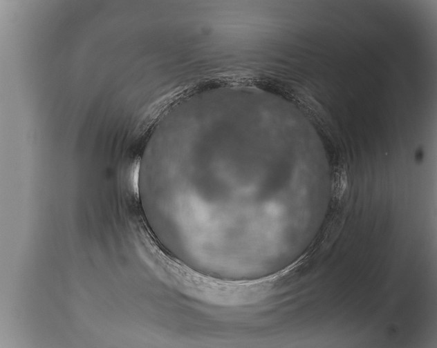 X0000110930047200906251344