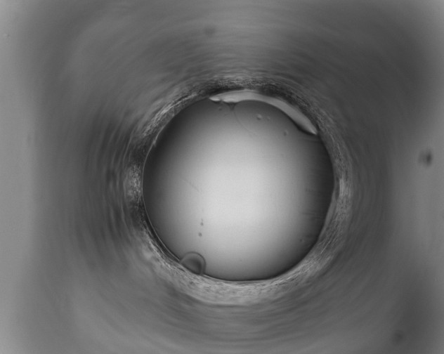 X0000110930048200906251344