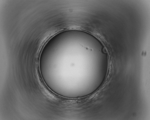 X0000110930049200906251343