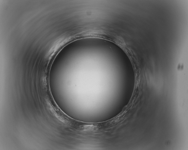 X0000110930050200906251343