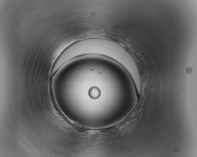 X0000110930052200906251343