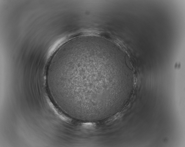 X0000110930053200906251343