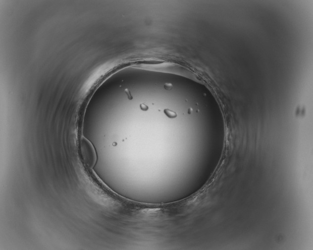 X0000110930054200906251343
