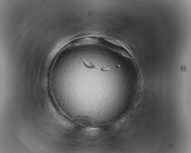 X0000110930055200906251343