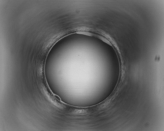 X0000110930057200906251343