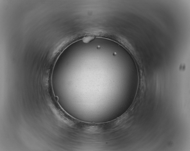 X0000110930058200906251343