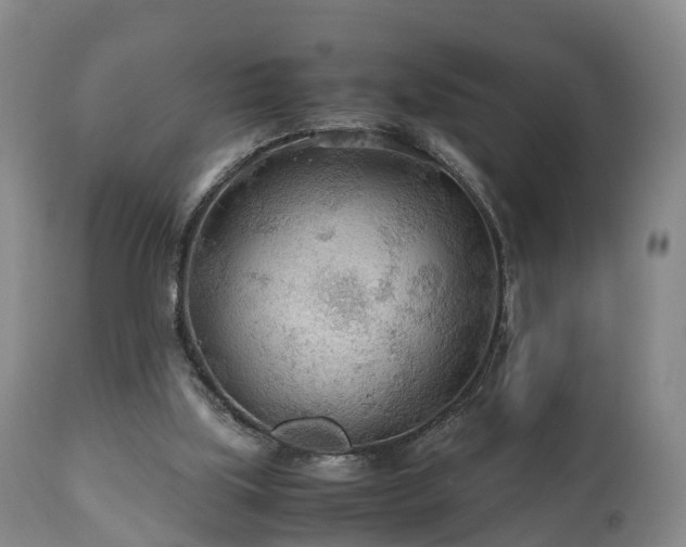 X0000110930059200906251343