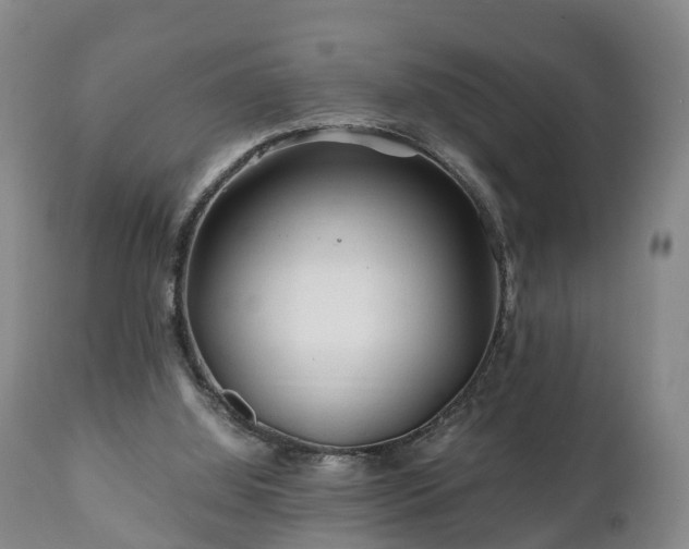 X0000110930060200906251343