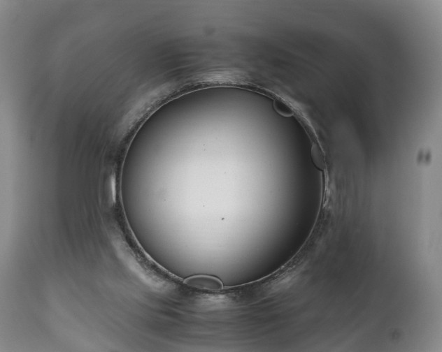 X0000110930061200906251343