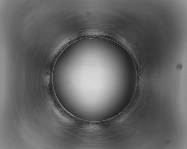 X0000110930063200906251343