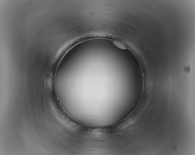 X0000110930064200906251343
