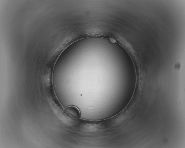 X0000110930065200906251343