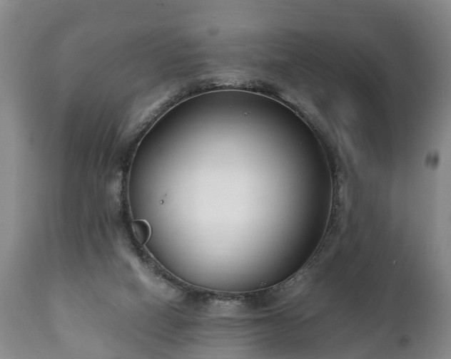 X0000110930066200906251343
