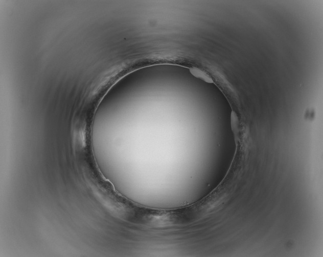X0000110930068200906251343