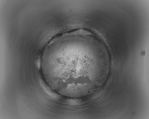 X0000110930069200906251343