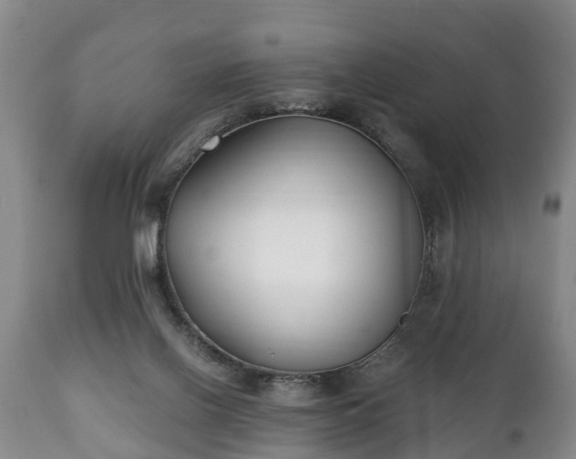 X0000110930070200906251343