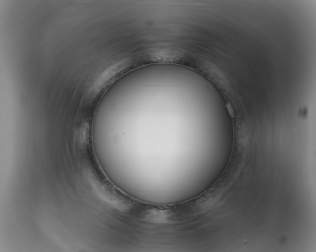 X0000110930071200906251343
