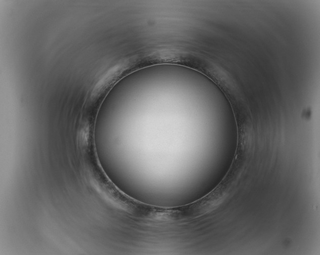 X0000110930072200906251343
