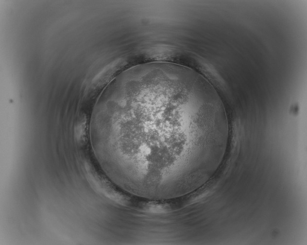 X0000110930073200906251344