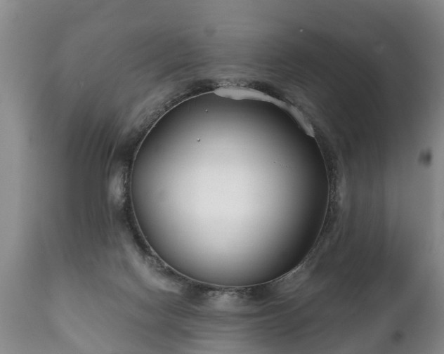 X0000110930074200906251344