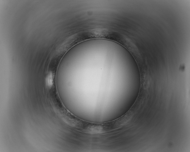 X0000110930075200906251344