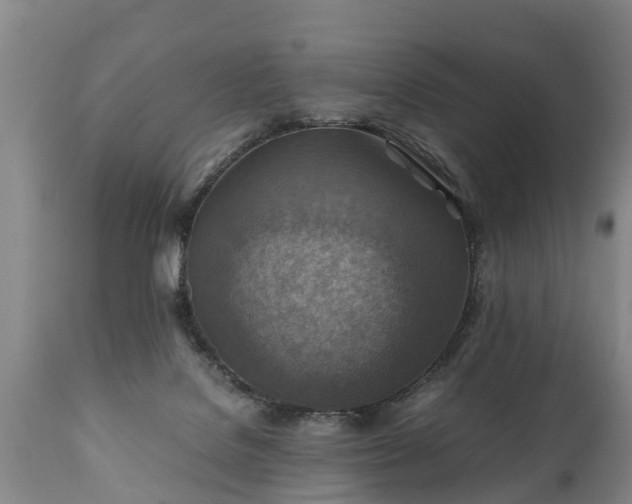 X0000110930076200906251344