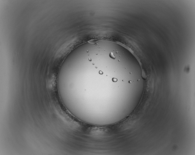 X0000110930077200906251344