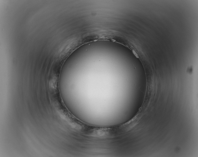X0000110930078200906251344