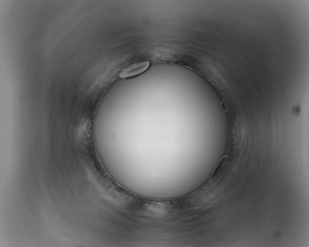 X0000110930079200906251344
