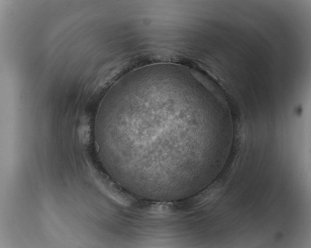 X0000110930080200906251344